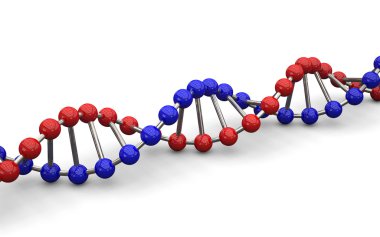Dna modeli 3D çizimi