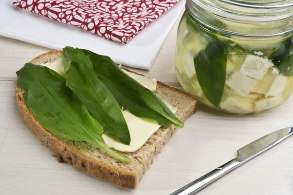 Wild garlic leaves (bear's garlic) — Stock Photo, Image