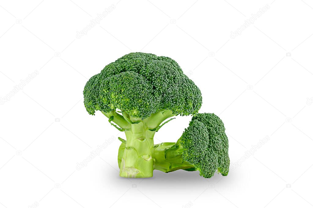Healthy green organic raw broccoli florets on white background. High quality photo