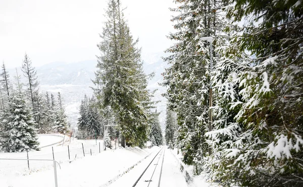 Genießen Sie Ihre Reise Die Tatra Winter Polen Hochwertiges Foto — Stockfoto