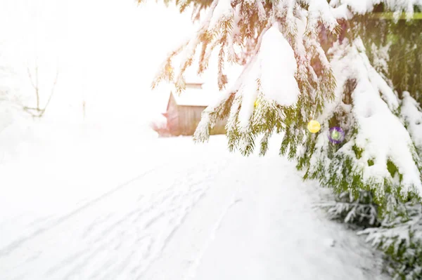 Straße Schneekalten Winter Sonnig Hochwertiges Foto — Stockfoto