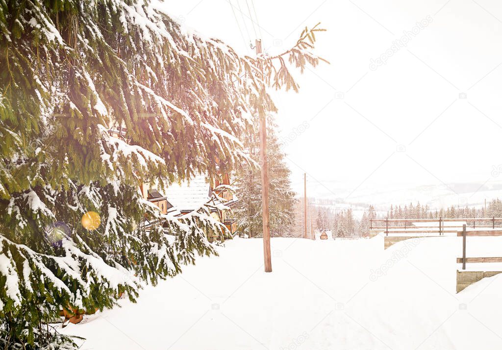 road in snow cold winter, sunny. High quality photo