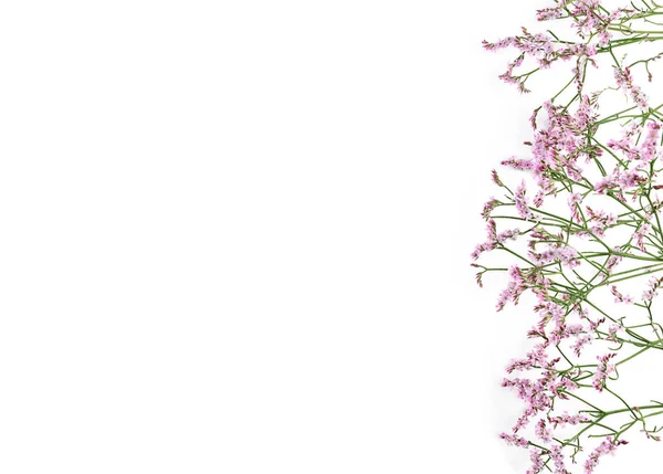 Όμορφο φόντο λουλουδιών από γυψόφυλλες Εικόνα Αρχείου