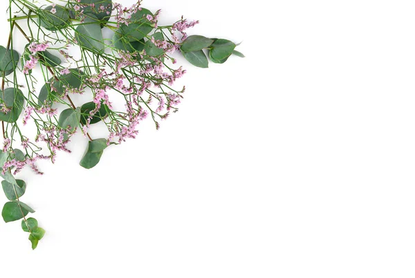 花の構成。白い背景にピンク色のジプシーの花やユーカリの枝で作られたフレーム。フラットレイアウト、トップビュー、コピースペース ストック画像