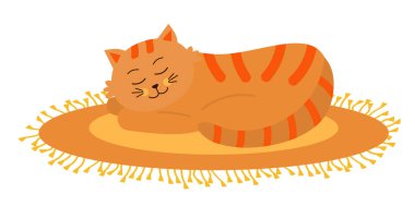 cat sleeping mat