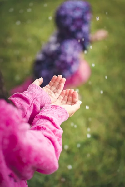 Deli dolu fırtınası