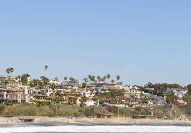 palmiye ağacı cennet