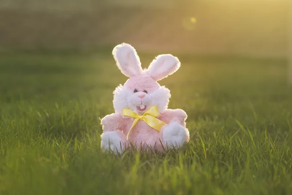 pembe Paskalya tavşanı