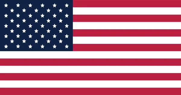 Bandera americana relación de tamaño estándar y modo de color — Vector de stock