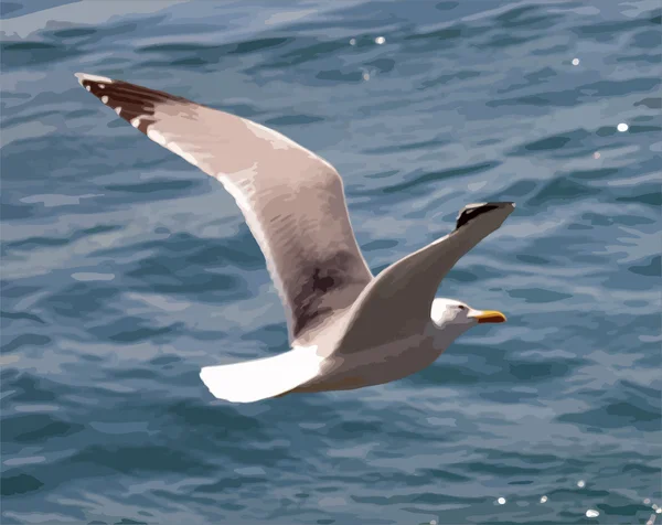 Mouette — Image vectorielle