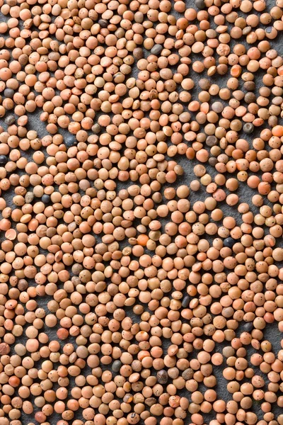 Textura de lentilhas marrons cruas — Fotografia de Stock