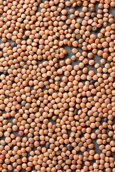 Textura de lentilhas marrons cruas — Fotografia de Stock