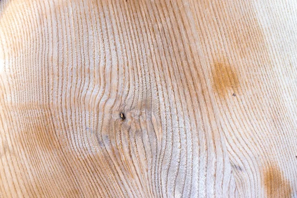 Textura de madera brillante — Foto de Stock