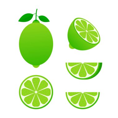 Yeşil yapraklı limon, beyaz arka planda izole edilmiş turunçgil dilimi. Tropik meyveler. Çiğ ve vejetaryen yemekleri. Vektör illüstrasyonu.