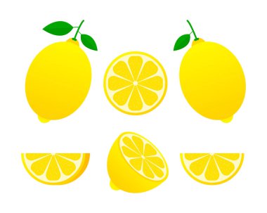 Taze limon meyveleri, vektör çizimleri koleksiyonu