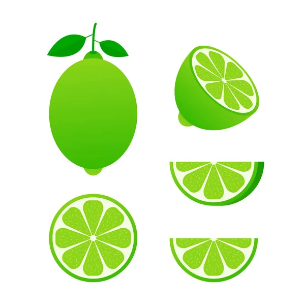 Lime Green Leaves Slice Citrus Isolated White Background Tropical Fruits — Stock Vector