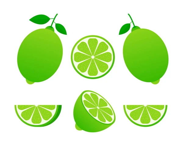 Limão Com Folhas Verdes Rodelas Cítricas Isoladas Sobre Fundo Branco — Vetor de Stock