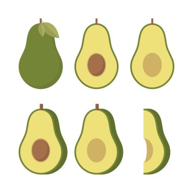 Gerçekçi vektör avokado çizimi. Avokadonun tamamı ve kesimi beyaz arkaplanda izole.