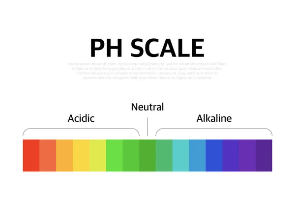 Uniwersalny Wykres Wskaźników Skali Color Chart Ilustracja Wektora Skalą — Wektor stockowy