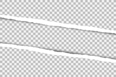 Gri kağıt yırtılmış. Vektör çizimi. Bir sayfa kağıt.