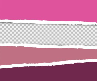 Telif alanı ve yırtık kağıt kenarı olan gri bir arkaplan. Vektör illüstrasyonu.