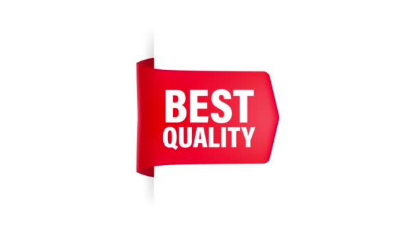 Best quality red ribbon, great design for any purposes. Premium quality. Motion graphics. — Stock Video