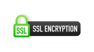 SSL şifreleme etiketi. Sancak güvende. Hareket grafikleri.