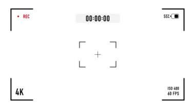 Dijital video kamera odaklama ekranı. Hareket grafikleri.