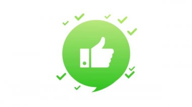 Yes or no doodle green and red illustration on white background. Motion graphics.