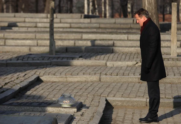 İngiliz Başbakan David Cameron