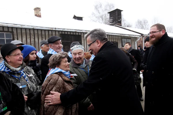 Nazi Almanlarının toplama ve imha kampı Auschwitz 'in kurtuluşunun 70. yıldönümü. — Stok fotoğraf