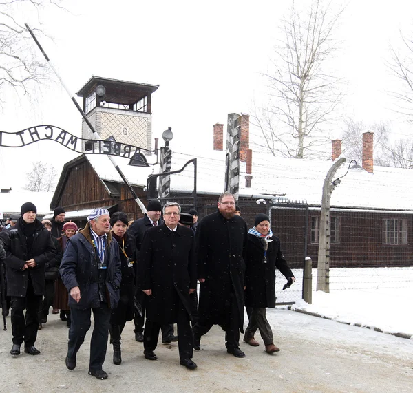 70mo anniversario della liberazione del campo di concentramento e sterminio nazista tedesco Auschwitz — Foto Stock