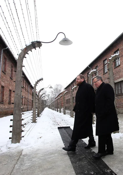 70mo anniversario della liberazione del campo di concentramento e sterminio nazista tedesco Auschwitz — Foto Stock
