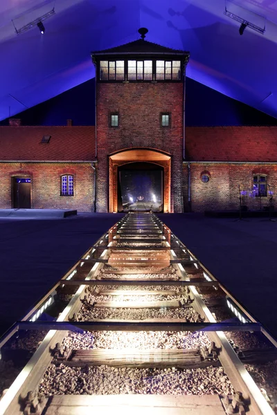 70th anniversary of the liberation of Nazi German concentraction and extermination camp Auschwitz — Stock Photo, Image