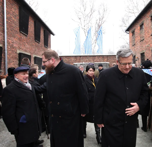 Nazi Almanlarının toplama ve imha kampı Auschwitz 'in kurtuluşunun 70. yıldönümü. — Stok fotoğraf