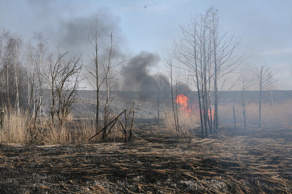 Горящая трава в поле
