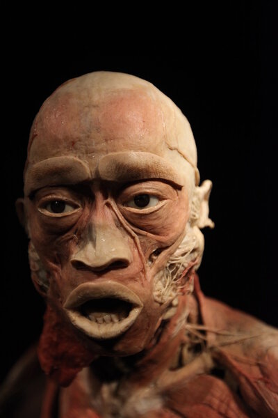 Выставка человеческого тела - выставка человеческих тел в старинных индустриальных залах Miraculum на улице Заблоцие. Краков
.