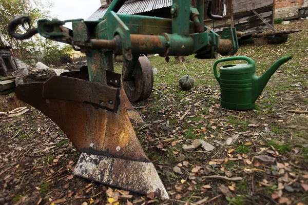 Gruptaki olgun kabaklar yığını