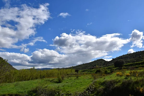 Zöld Rétek Fákkal Hegyekkel Régi Karámokkal Kék Égbolttal Felhőkkel — Stock Fotó