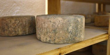 Kabuklu peynir olgunlaşma sürecinde ve etrafında bir küf tabakası var..