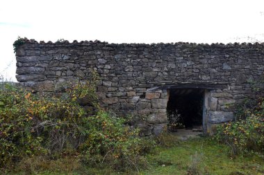 Yaşlı, kuru, çalılarla çevrili bir taş ağılı..