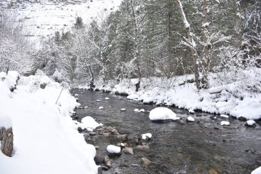 Filomena adındaki kar fırtınasından sonra Cidacos vadisine kar yağışı. Nehir manzarası, kıyılar, dağ ve çam ağaçları.