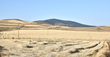Taze hasat edilmiş tahıl tarlaları. Soria Eyaleti, İspanya