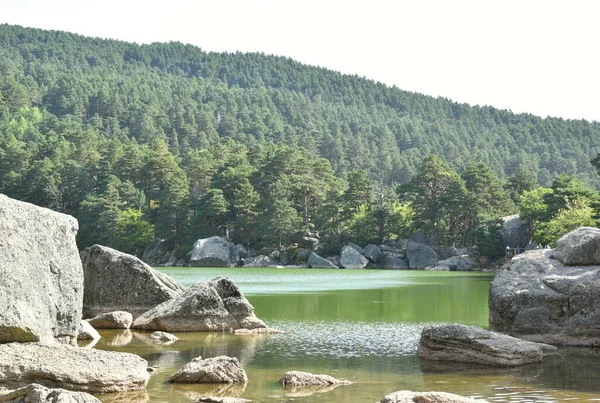 Eingang Vom Ufer Zum Wasser Der Schwarzen Lagune Kiefernwald Hintergrund — Stockfoto