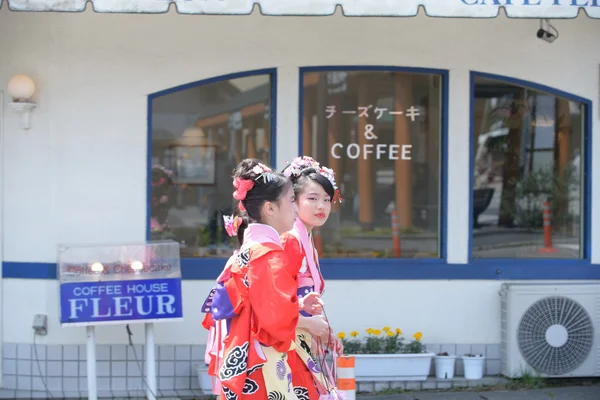 Фестиваль Яёй, Никко Япония — стоковое фото