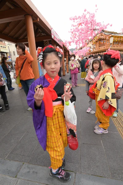 Yayoi Festival, Nikko Japan — Stockfoto