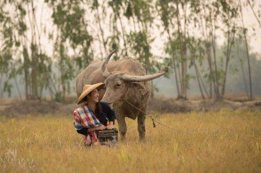 Asya genç bayan buffalo otur ve radyo el tutun.