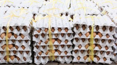 Yumurta bir piyasa ahır Satılık için