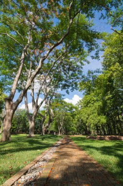 Taş yolu altında açık mavi gökyüzü Park