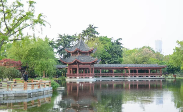 Kız genel parkta stand ve manzarayı